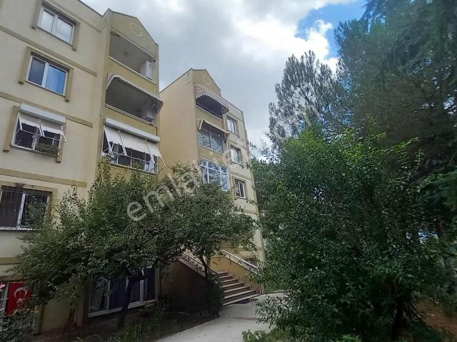 Kocaeli, İzmit içerisinde kiralık mülk