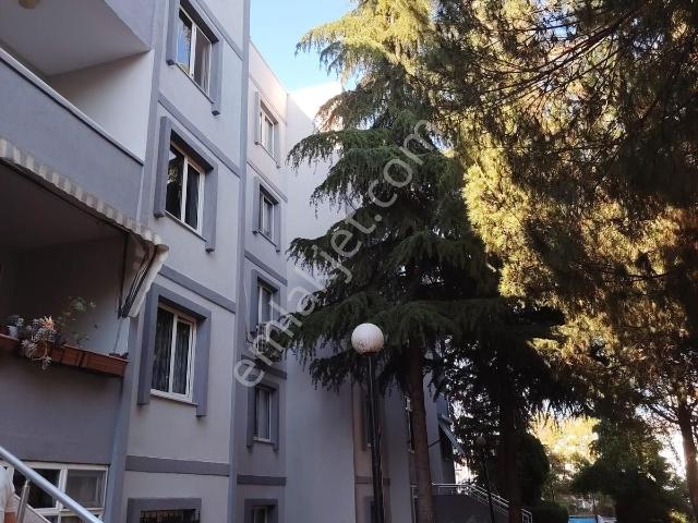 İzmit, Kocaeli içerisinde kiralık mülk