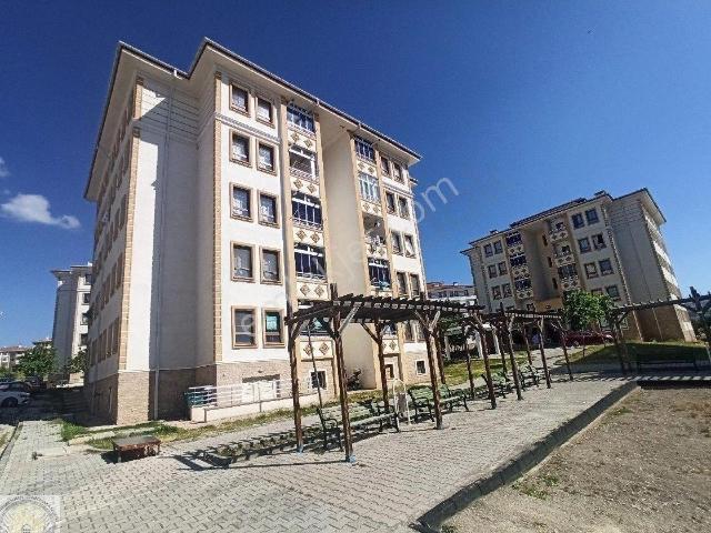 Merzifon, Amasya içerisinde kiralık mülk