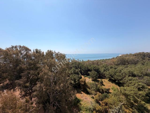 Mezitli, Mersin içerisinde kiralık mülk