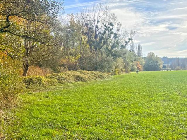 Wohnung mieten in Cheseaux-Noréaz, Waadt