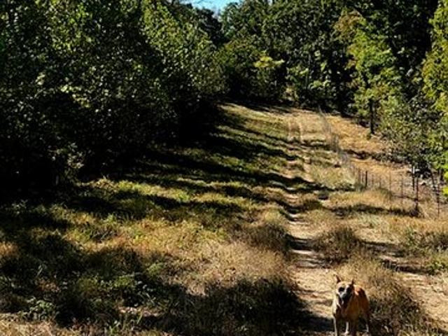 Land for sale in Cabool, Texas County