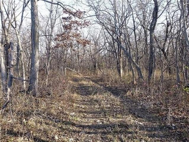 Land for sale in Elmo Land for sale in Elmo