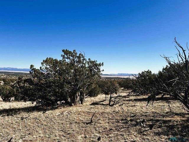 House for rent in Catron, New Mexico
