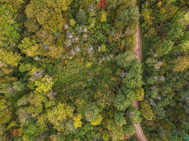 Land for sale in Grand Marais, Minnesota