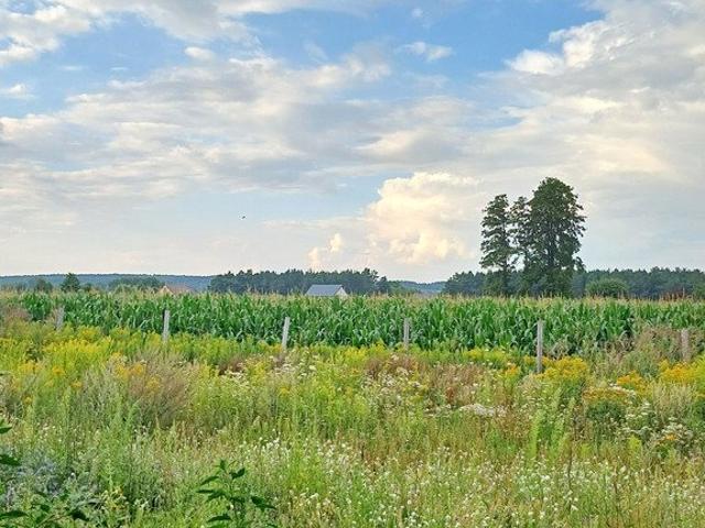 Grunt na sprzedaż w Zławieś Wielka, Kujawsko-pomorskie