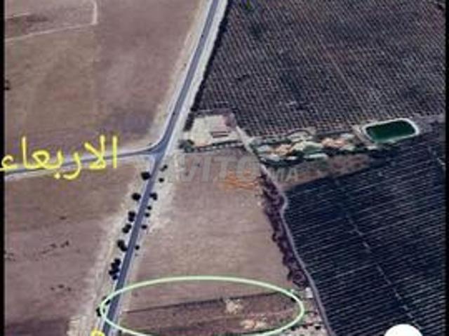 Propriété vente à Youssoufia, L'Oriental