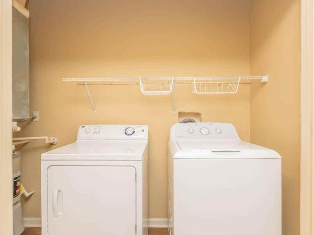Apartment for rent in Magnolia, Central