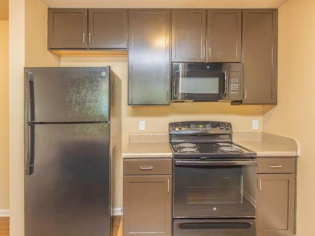 Apartment for rent in Magnolia, Central