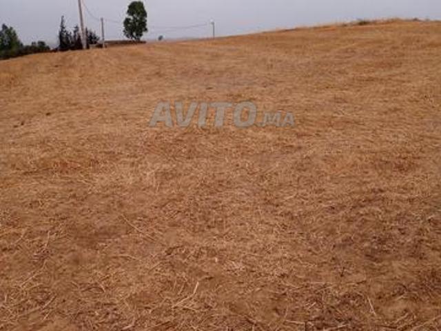 Propriété vente à Sidi Bettach, Gharb-Chrarda-Beni Hssen