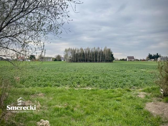 Grunt na sprzedaż w Niedrzwica Duża, Lubelskie