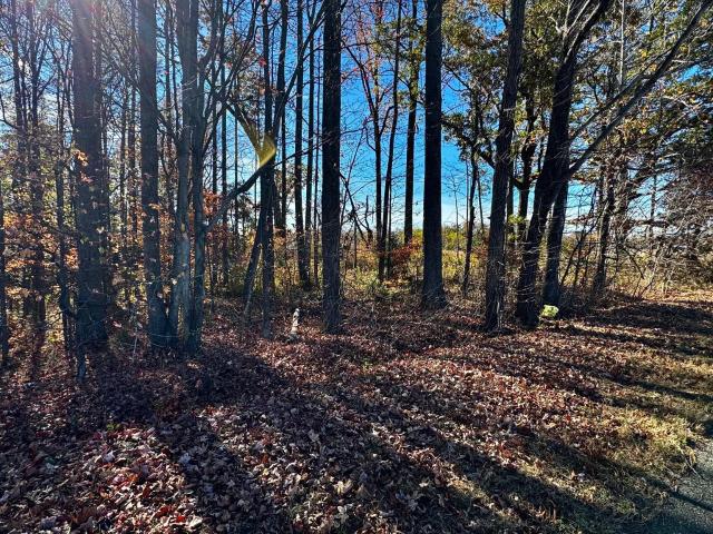 Land for sale in Virginia