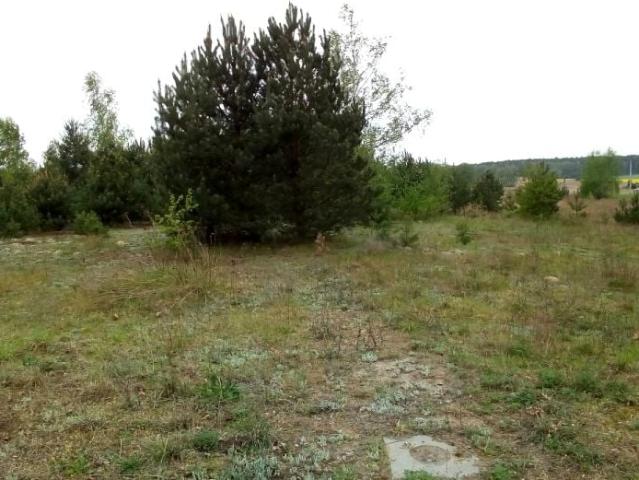Grunt na sprzedaż w Głębocko, Wielkopolskie