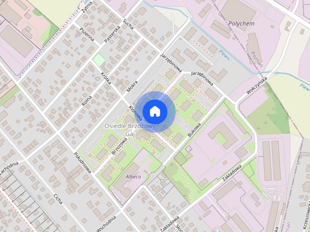 Mieszkanie do wynajęcia w Plewiska, Wielkopolskie