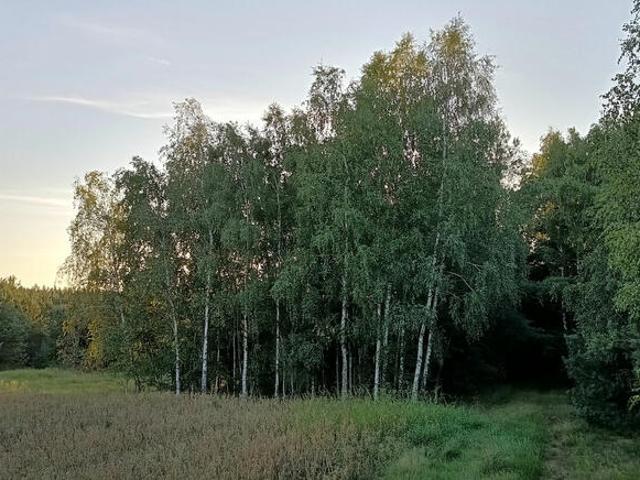 Grunt na sprzedaż w Rogowo, Kujawsko-pomorskie