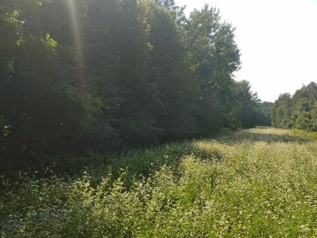 Grunt na sprzedaż w Rudnik Nad Sanem, Podkarpackie