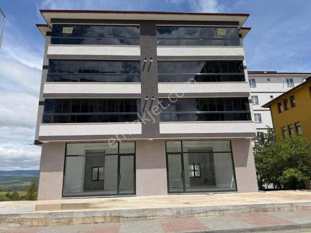 Kastamonu Merkez, Kastamonu içerisinde kiralık mülk