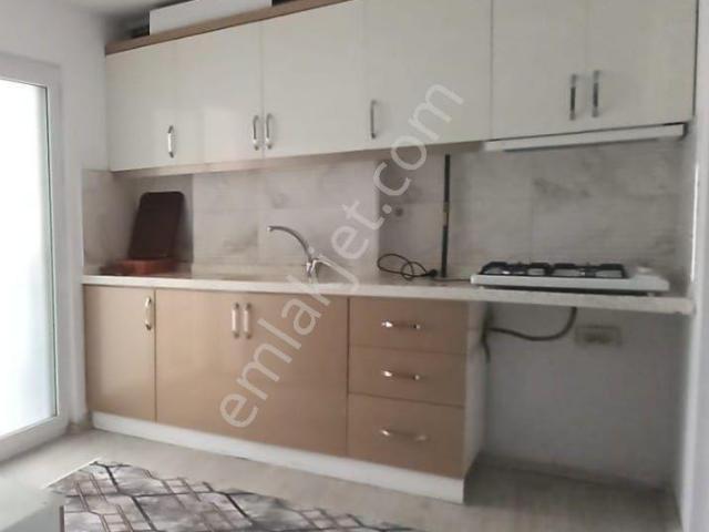 Aydin içerisinde kiralık mülk