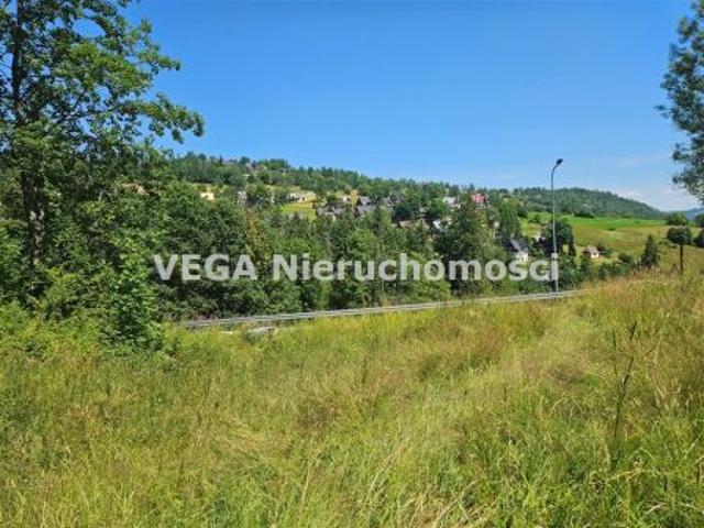 Grunt na sprzedaż w Zakopane, Małopolskie