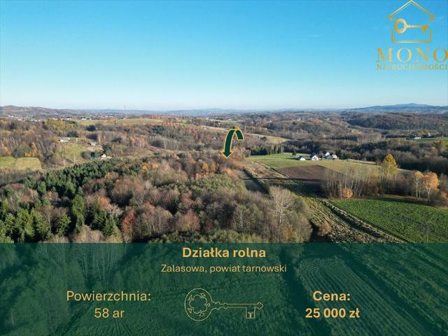 Grunt na sprzedaż w Zalasowa, Małopolskie