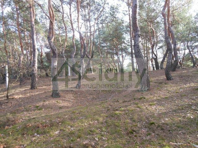 Grunt na sprzedaż w Legionowo, Mazowieckie