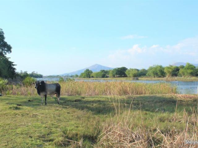Zambales Botolan Beach for Sale