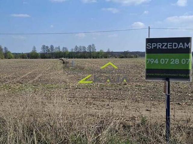 Grunt na sprzedaż w Kolsko, Lubuskie