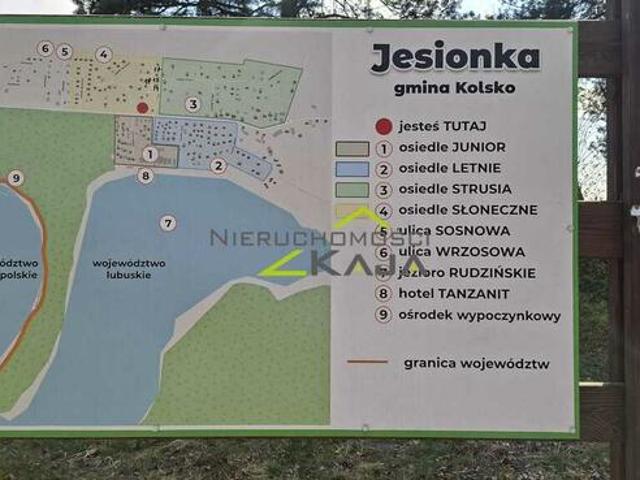 Grunt na sprzedaż w Kolsko, Lubuskie