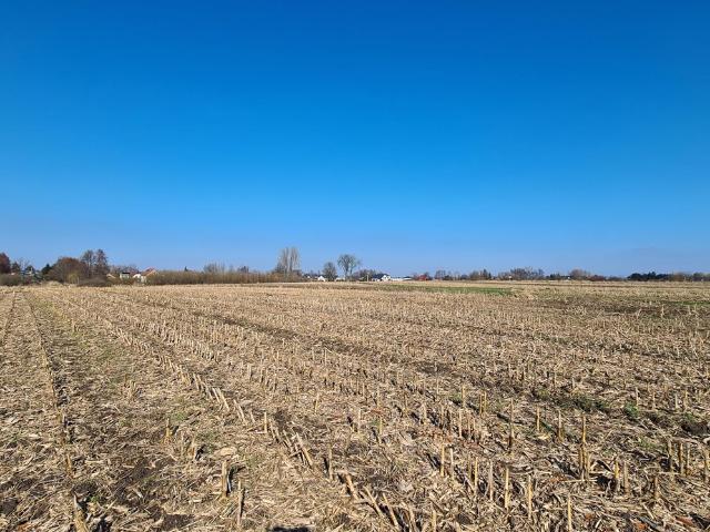 Grunt na sprzedaż w Zamość, Lubelskie