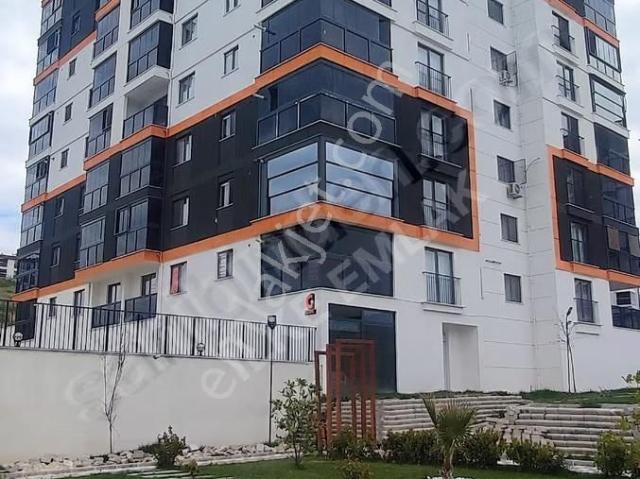 Edirne Merkez, Edirne içerisinde kiralık mülk