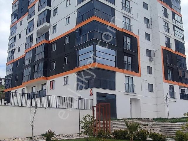 Edirne Merkez, Edirne içerisinde kiralık mülk