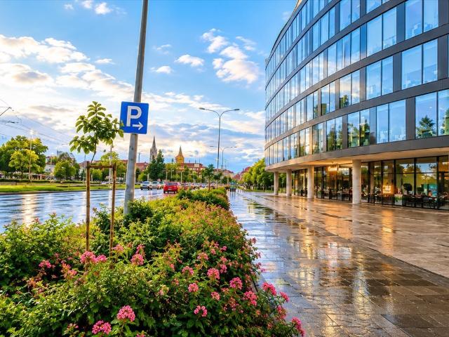 Mieszkanie na sprzedaż w Szczepin, Wrocław