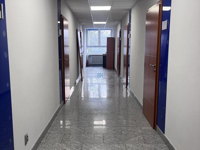 Mieszkanie do wynajęcia w Gliwice, Śląskie