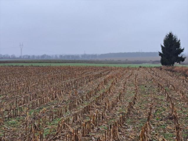 Grunt na sprzedaż w Złotniki, Wielkopolskie