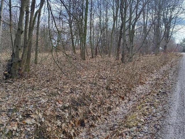 Grunt na sprzedaż w Żywiec, Śląskie