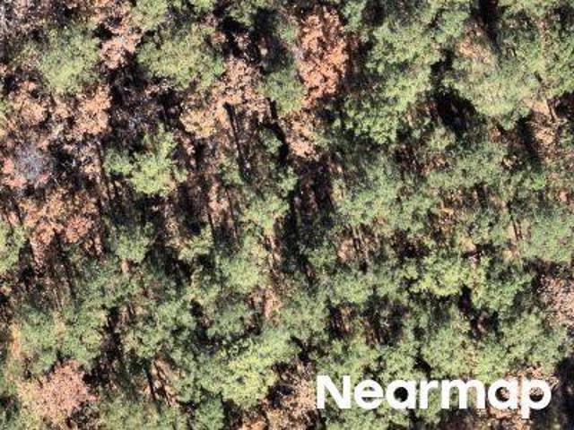 Land for sale in Ark