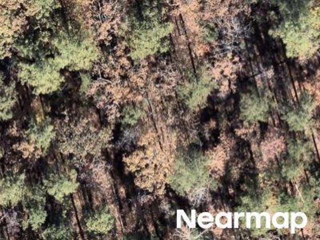 Land for sale in Ark
