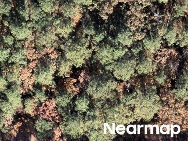 Land for sale in Ark