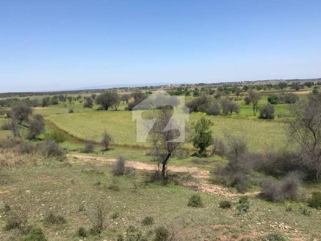 Land for rent in Chakwal, Islamabad Capital Territory