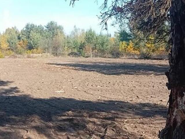 Grunt na sprzedaż w Żabia Wola, Mazowieckie
