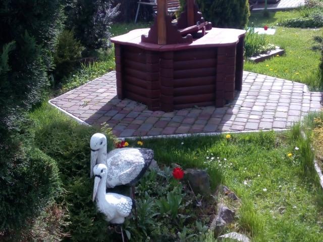 Квартира аренда в Львовская, Трускавце
