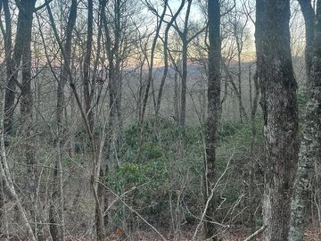 Land for sale in Cullowhee, Jackson County