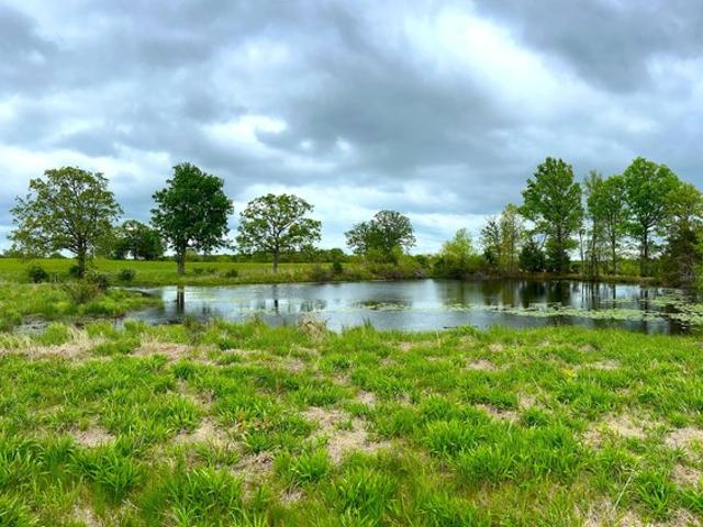 Land for sale in Vernon, Missouri