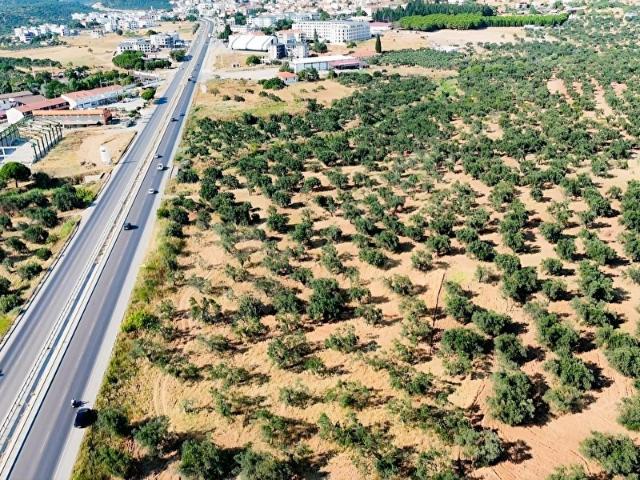 Gömeç, Balikesir içerisinde satılık Arsa