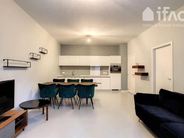 Appartement location à Quartier Royal - Koninklijke Wijk, Bruxelles - Brussel