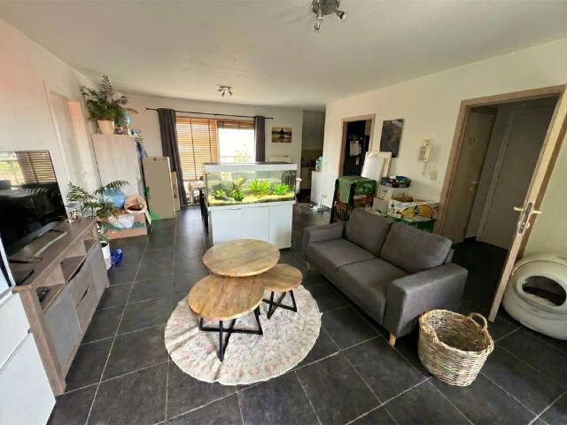 Appartement location à Tamise, Oost-Vlaanderen
