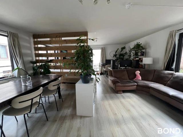 Kot location à Lava, Brabant