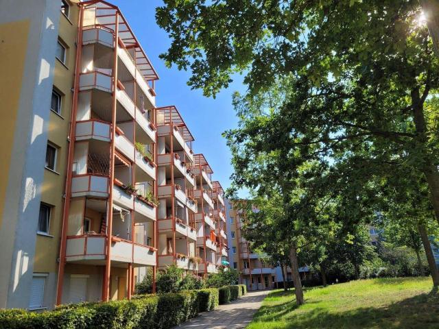 Apartment mieten in Frankfurt (Oder), Brandenburg