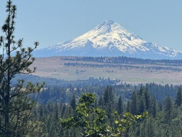 Land for sale in Goldendale, Washington