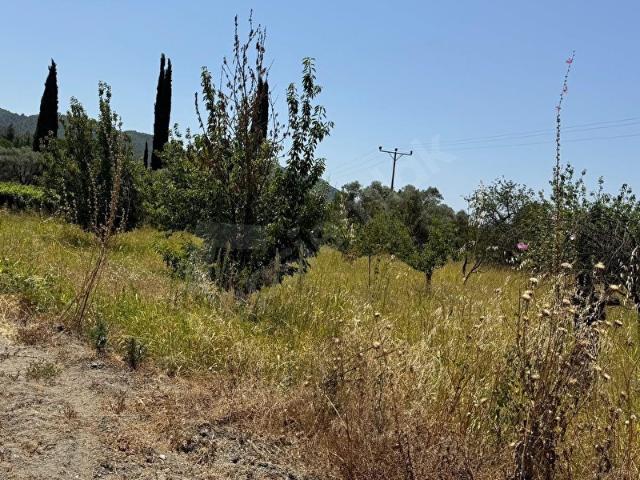 Selçuk, İzmir içerisinde satılık mülk